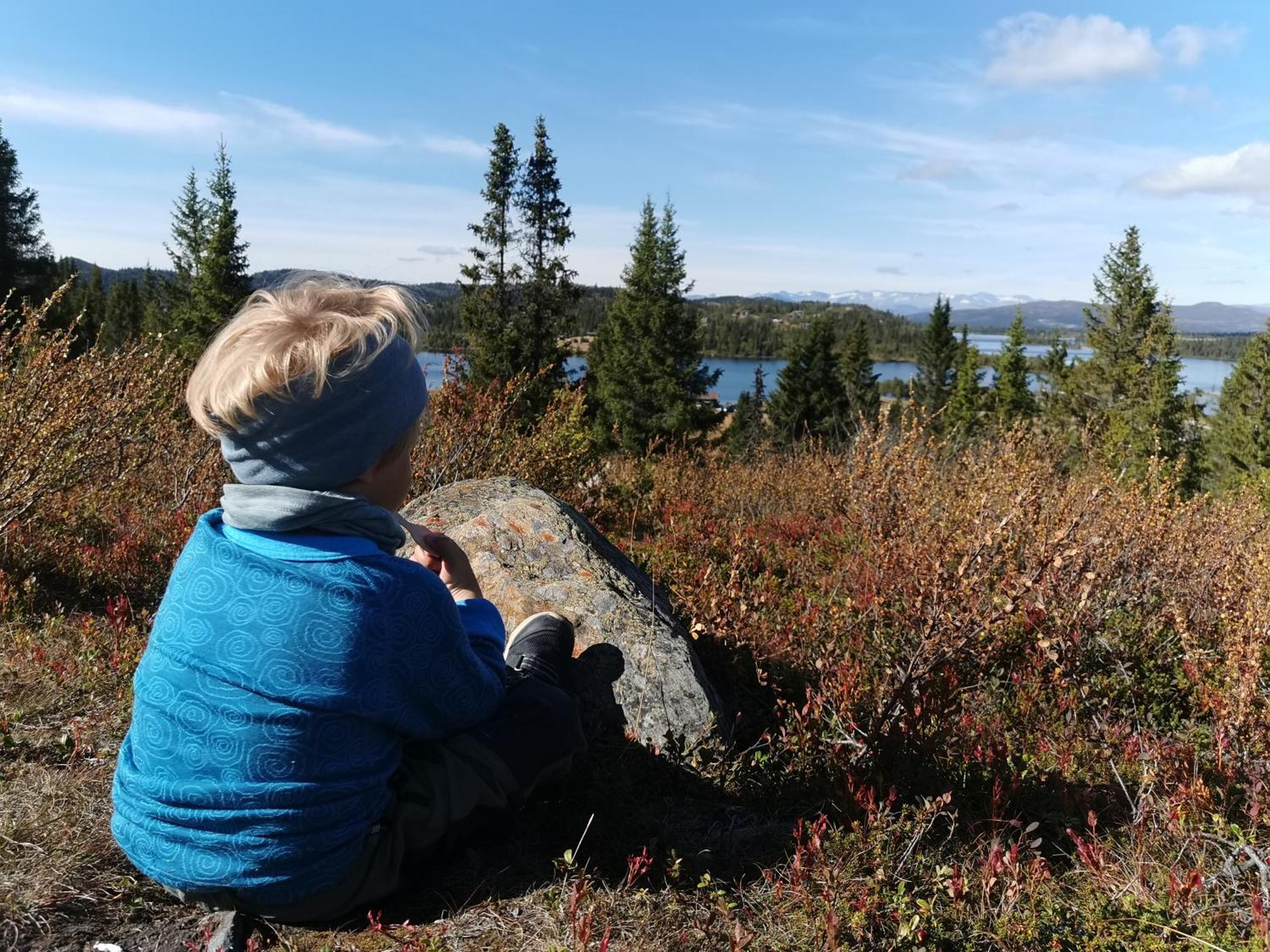 Gronolen Fjellgard 호텔 Beitostolen 외부 사진