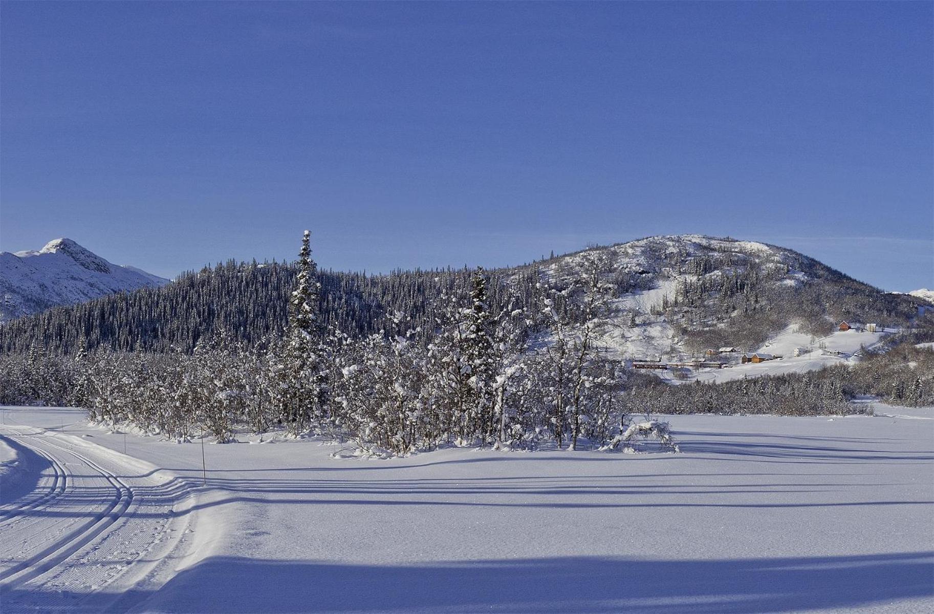 Gronolen Fjellgard 호텔 Beitostolen 외부 사진